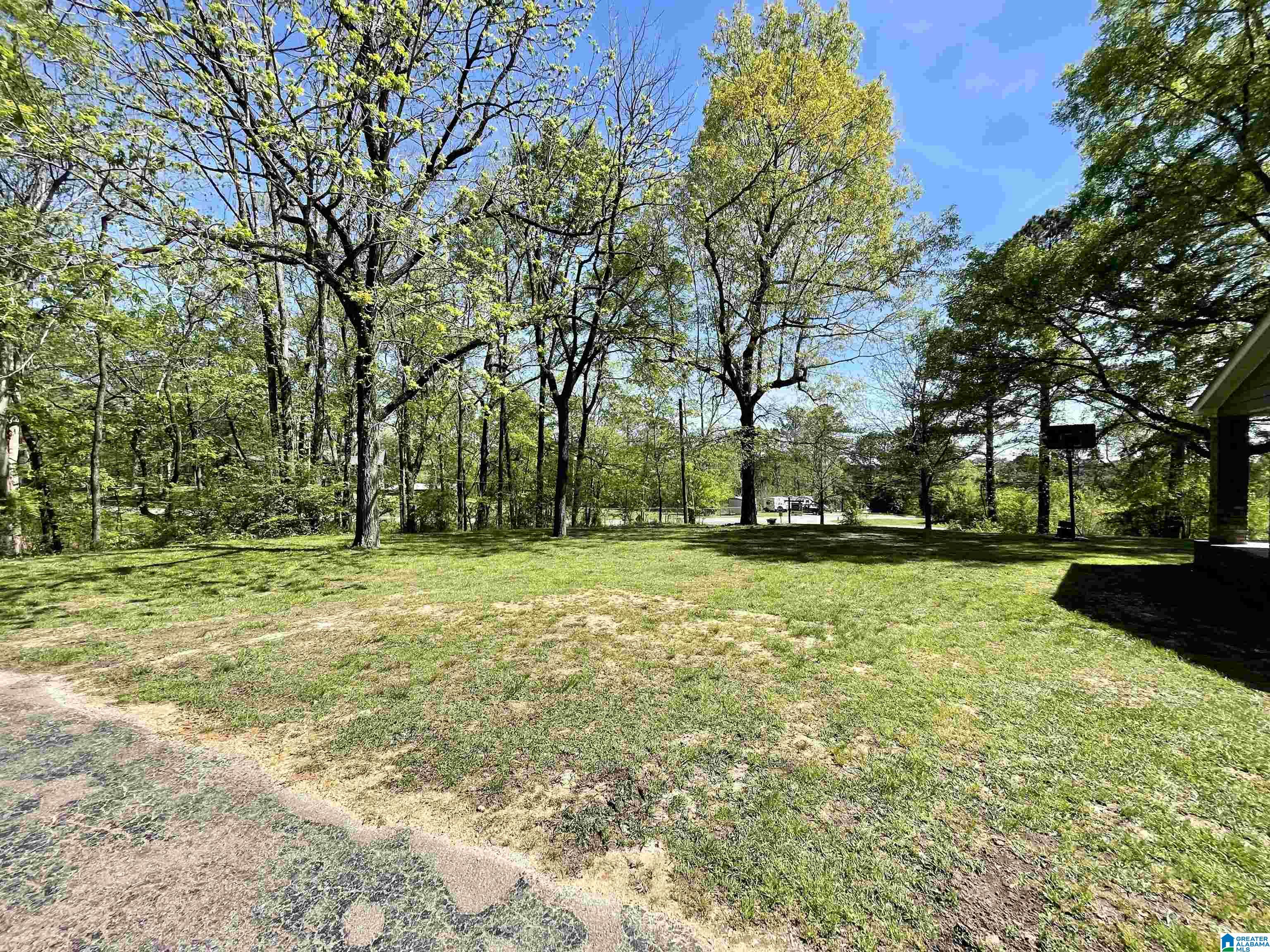 19 Hill Drive Ragland, AL 35131 - Photo 24 of 24