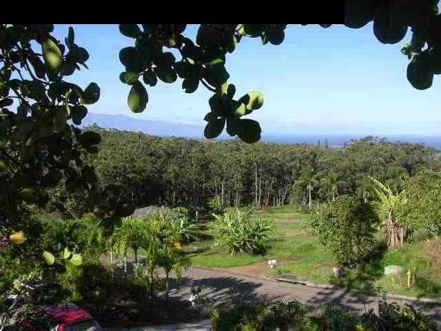 125 Ulumalu Road Haiku, HI 96708 - Photo 3 of 13 a view of swimming pool with a yard
