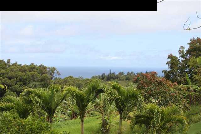 125 Ulumalu Road Haiku, HI 96708 - Photo 5 of 13 a view of a city with lush green forest