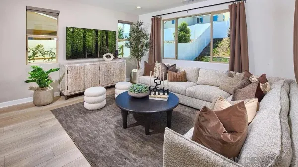 a living room with furniture and a potted plant