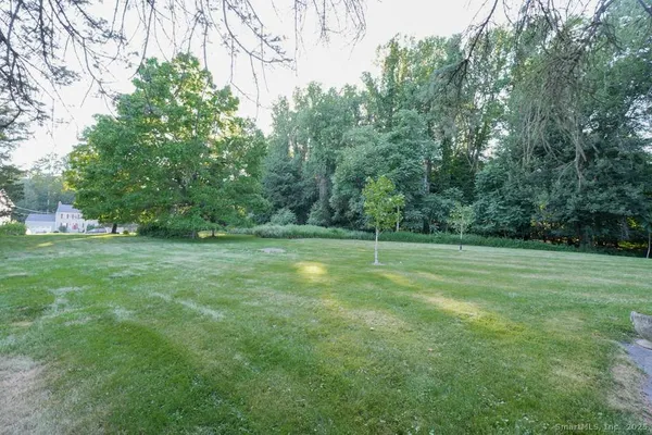 a view of a field with trees in the background