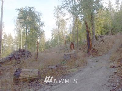 4 Alger-ccc Road Sedro-Woolley, WA 98284 - Photo 1 of 1