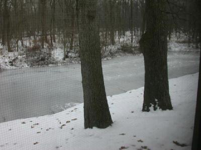17723 Scott Lane Three Rivers, MI 49093 - Photo 9 of 9 Additional Photo