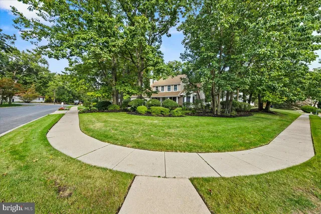 a view of a garden with plants