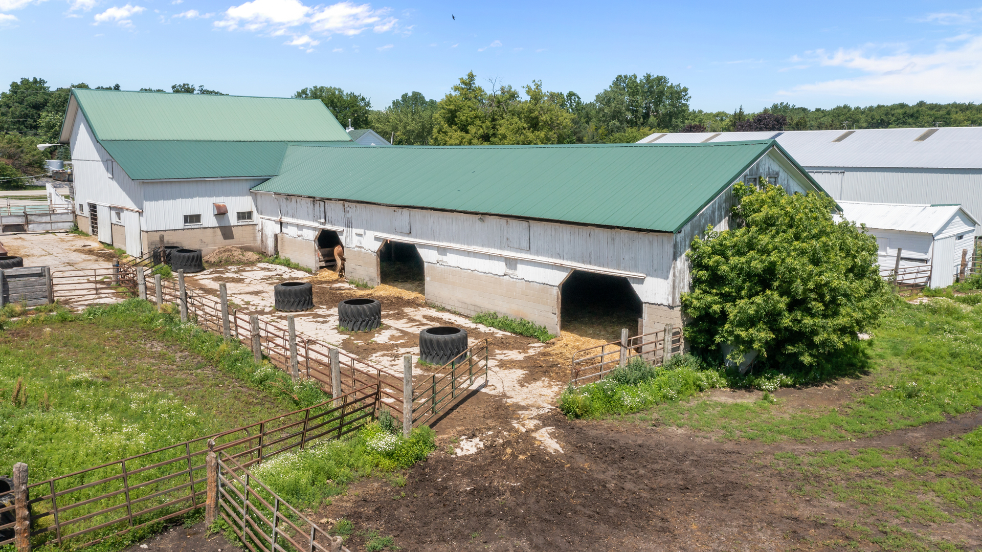 39525 North Delany Road Wadsworth, IL 60083 - Photo 4 of 38