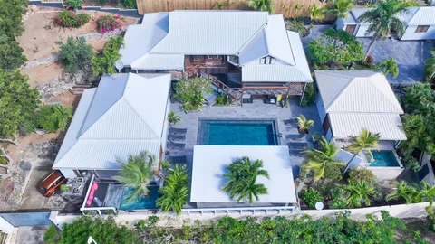 an aerial view of a house with a yard and potted plants