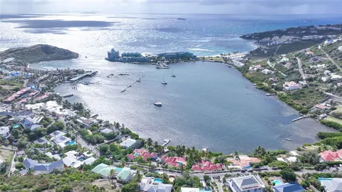 a view of a flower arrangement in a garden