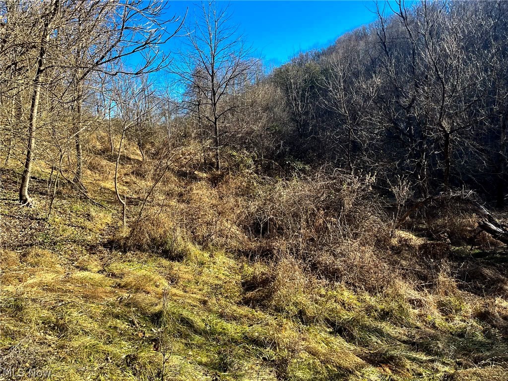 34 Rd Ripley Wv 25271 Ripley, WV 25271 - Photo 5 of 14