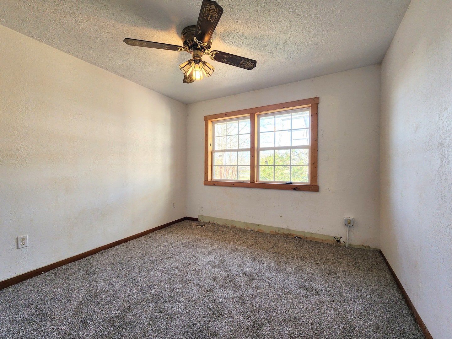 5628 Coal Street Sesser, IL 62884 - Photo 22 of 63
