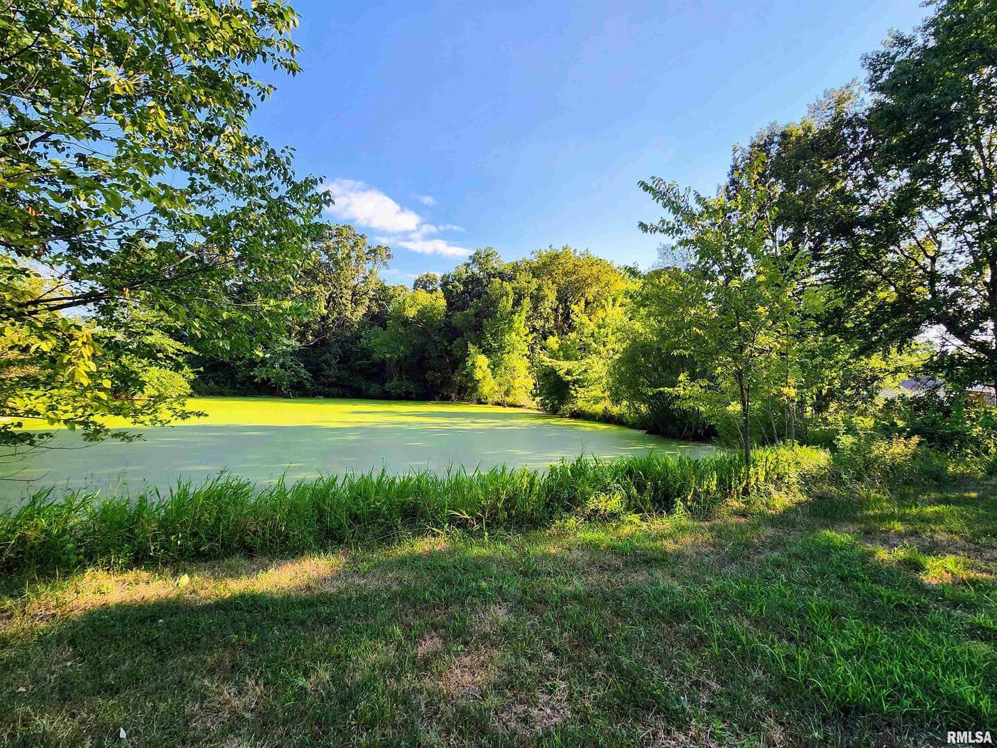 5628 Coal Street Sesser, IL 62884 - Photo 45 of 62 a view of a swimming pool with a yard