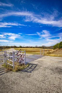 a view of a bunch of trees