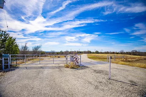 a view of a tree in a yard
