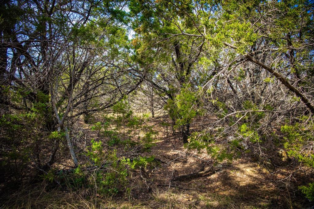 198 South Rnch Drive Graham, TX 76450 - Photo 23 of 37