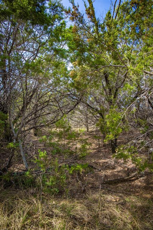 198 South Rnch Drive Graham, TX 76450 - Photo 24 of 37