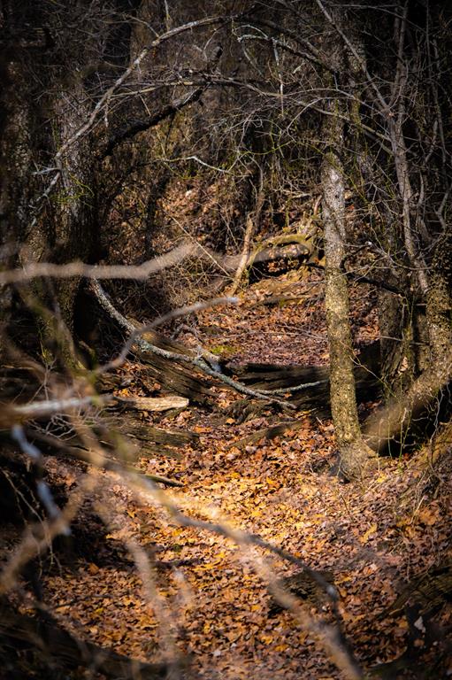 198 South Rnch Drive Graham, TX 76450 - Photo 26 of 37