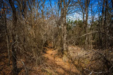 a view of a yard with an trees