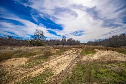 a view of backyard with green space
