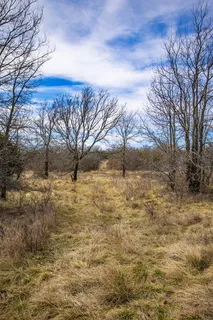 a view of mountain view with lots of trees