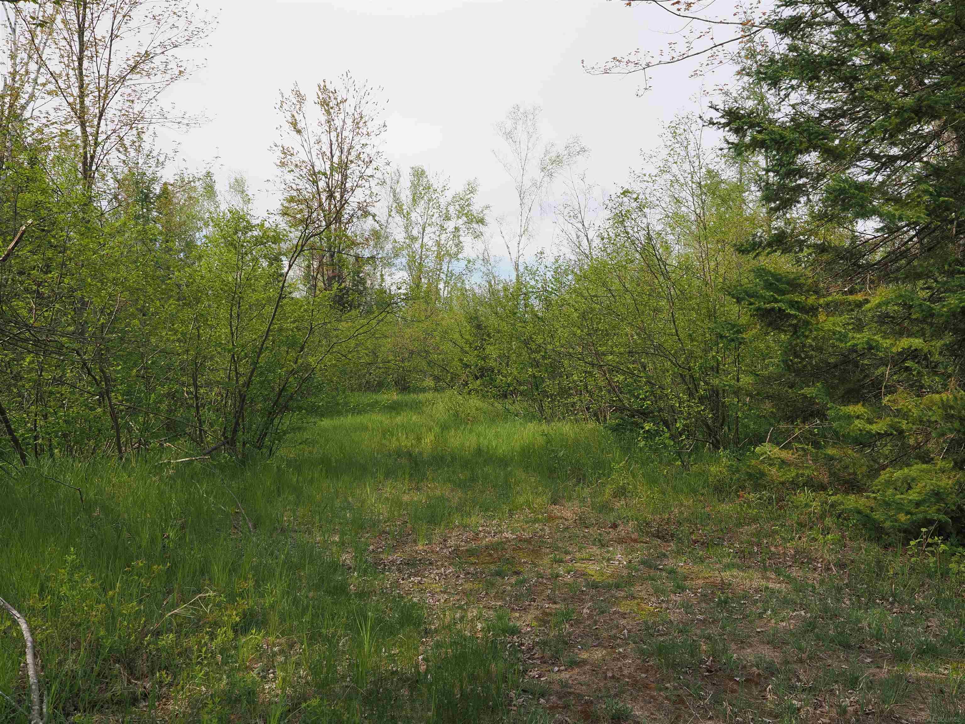 4011 Sandall Road Alpena, MI 49707 - Photo 48 of 73