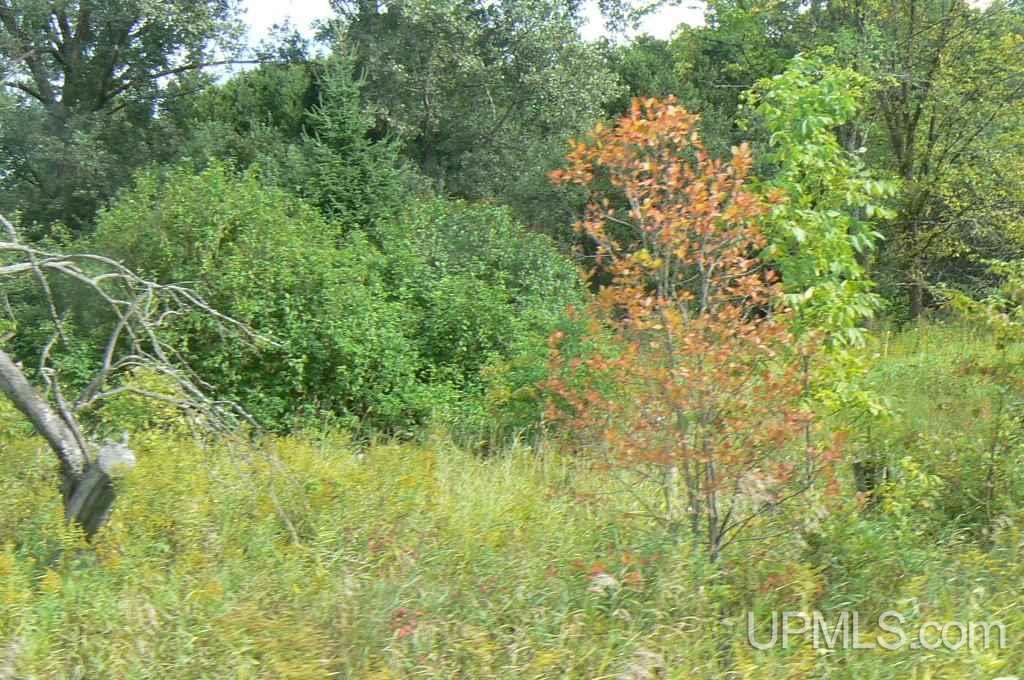 Tbd North Tbd N Eben Road Eben Junction, MI 49825 - Photo 5 of 6