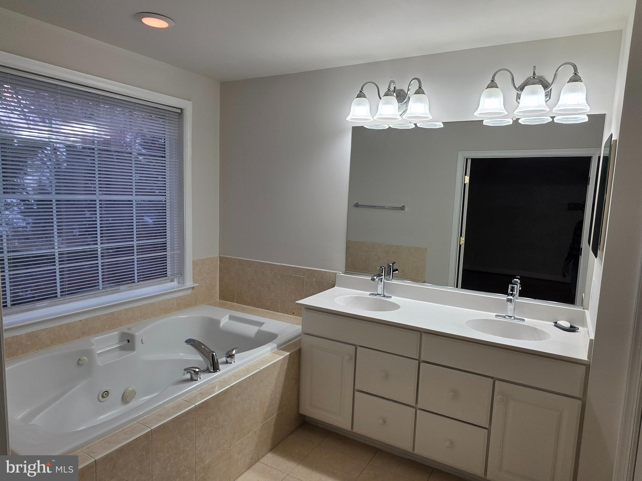 9249 Laurel Ridge Crossing Road Lorton, VA 22079 - Photo 17 of 38 a bathroom with a tub sink and mirror