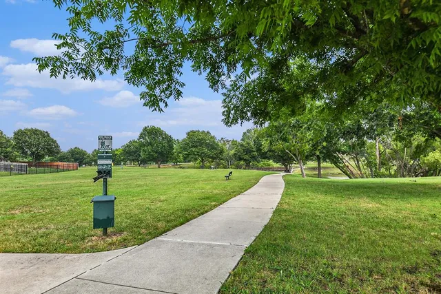 a view of a garden with a tree