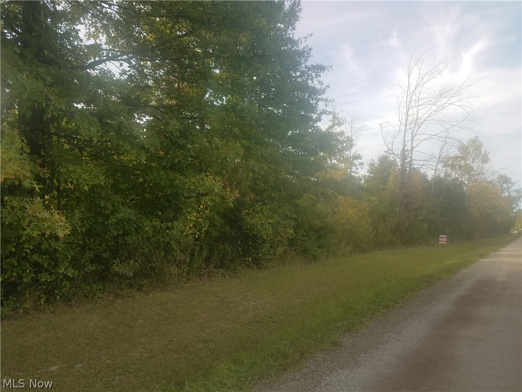 Rockwell Road Ashtabula, OH 44004 - Photo 5 of 6