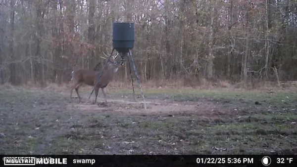 $1,848,000 | 3194 James Road, Hazlehurst, MS 39083