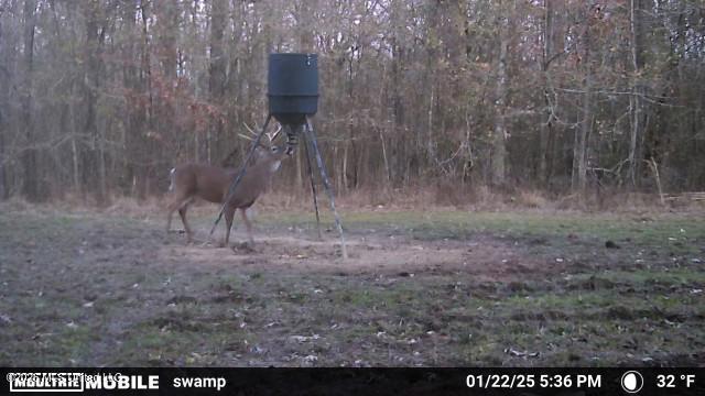 3194 James Road Hazlehurst, MS 39083 - Photo 101 of 114 2231