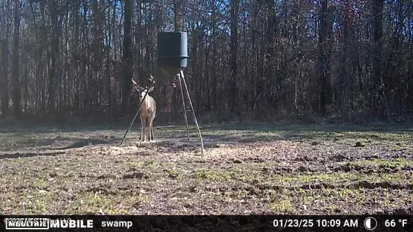 $1,848,000 | 3194 James Road, Hazlehurst, MS 39083