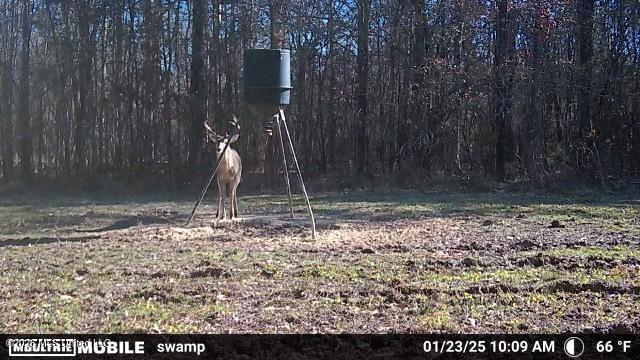 3194 James Road Hazlehurst, MS 39083 - Photo 102 of 114 2230