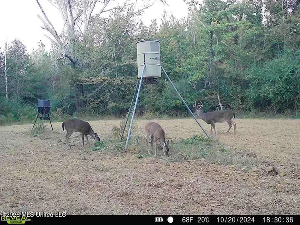 $1,848,000 | 3194 James Road, Hazlehurst, MS 39083