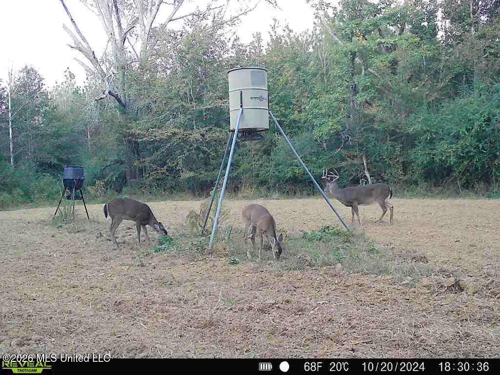 3194 James Road Hazlehurst, MS 39083 - Photo 106 of 114 2134