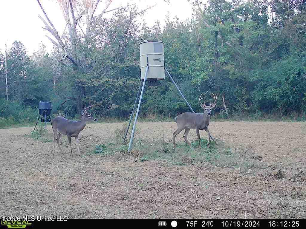 3194 James Road Hazlehurst, MS 39083 - Photo 107 of 114 2138