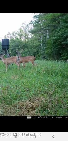 $1,848,000 | 3194 James Road, Hazlehurst, MS 39083