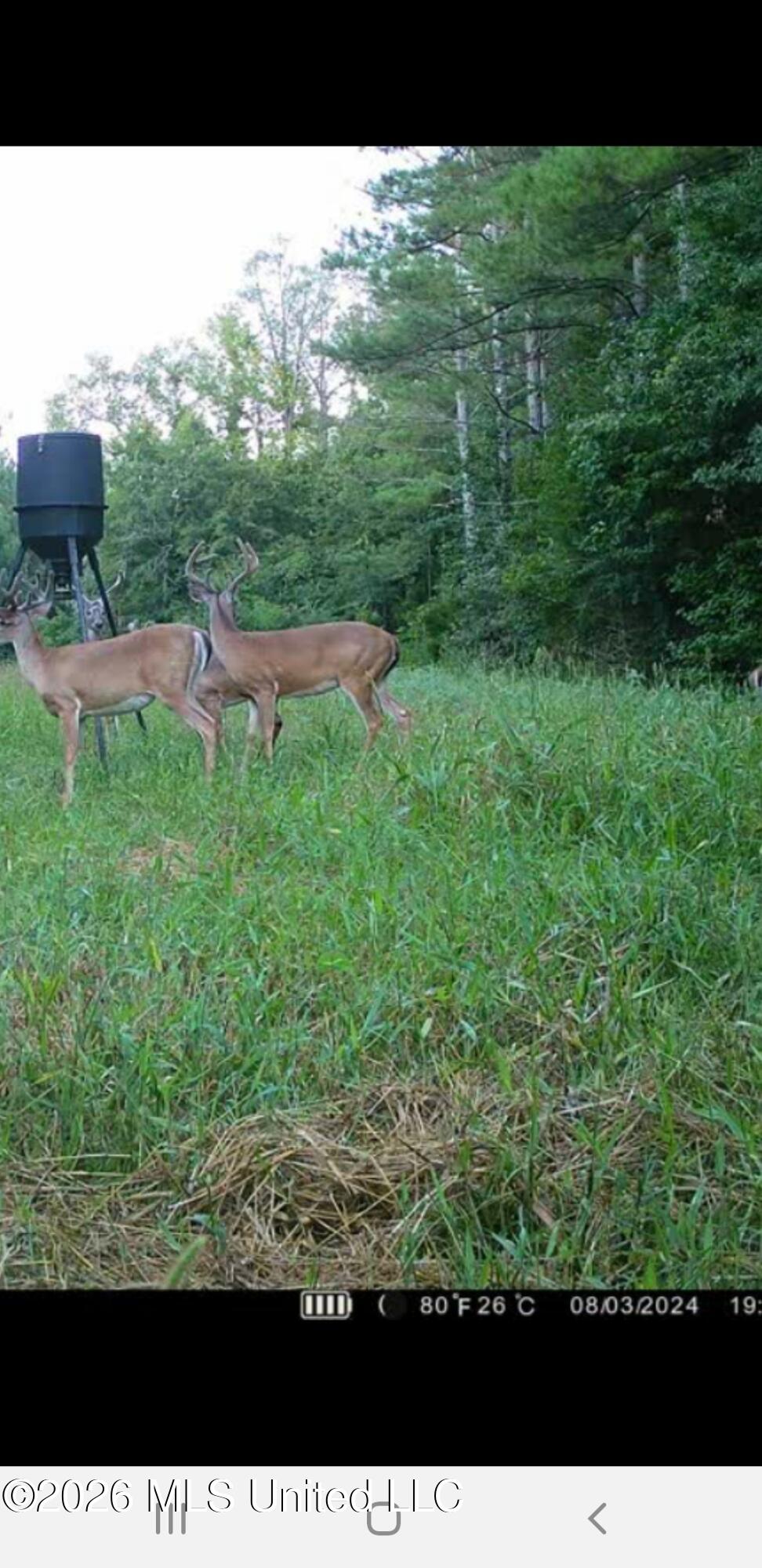 3194 James Road Hazlehurst, MS 39083 - Photo 108 of 114 2109