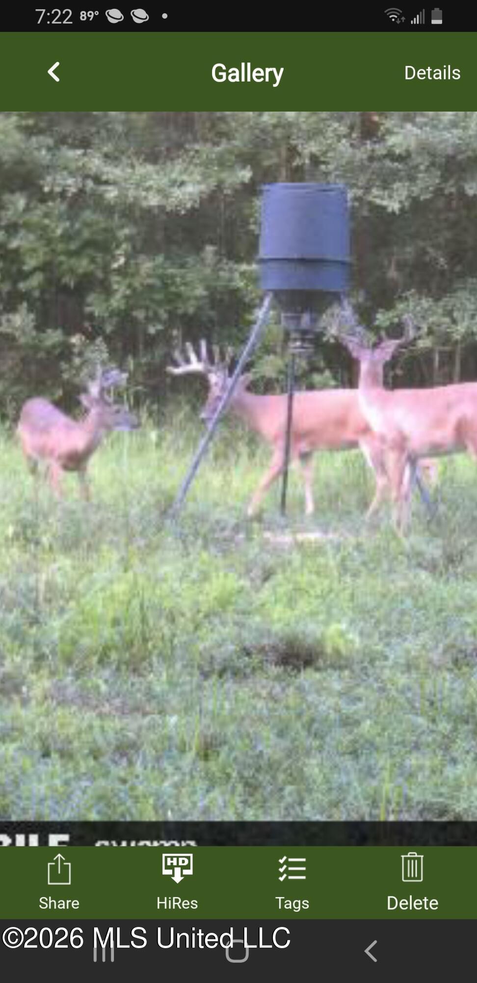 3194 James Road Hazlehurst, MS 39083 - Photo 109 of 114 2108