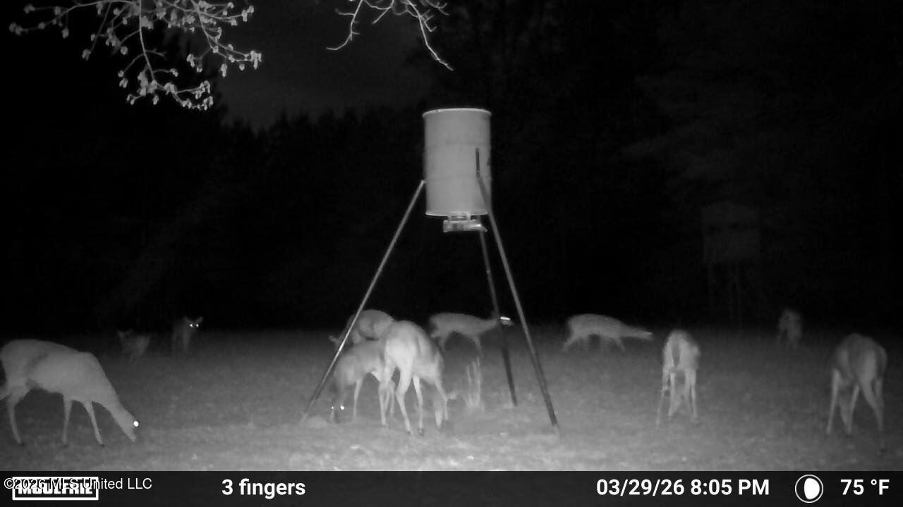 3194 James Road Hazlehurst, MS 39083 - Photo 110 of 114 3620