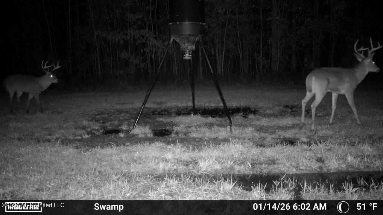 3194 James Road Hazlehurst, MS 39083 - Photo 111 of 114 3631