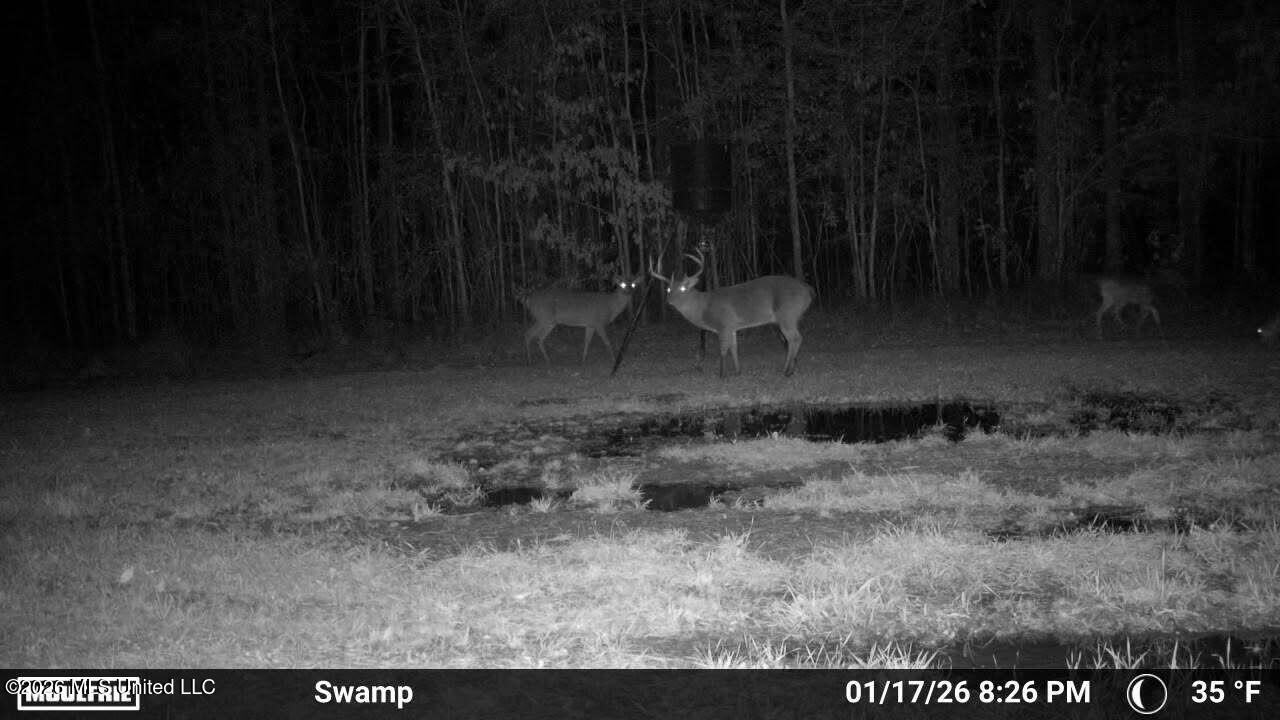 3194 James Road Hazlehurst, MS 39083 - Photo 112 of 114 3630