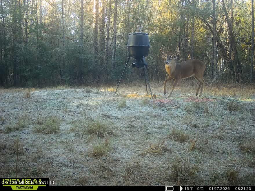 3194 James Road Hazlehurst, MS 39083 - Photo 114 of 114 3624