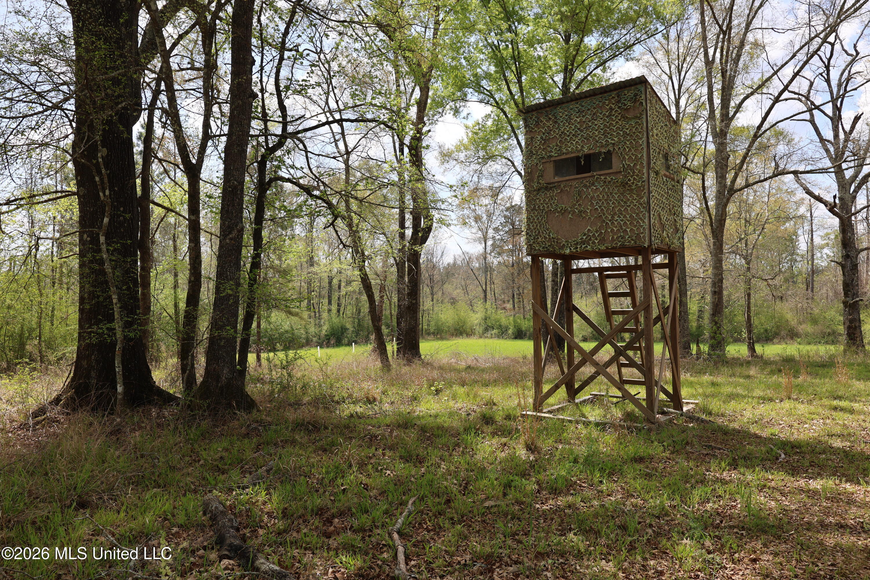 3194 James Road Hazlehurst, MS 39083 - Photo 20 of 114 BC813DE9-D4CA-4E75-B110-481496C3EA47