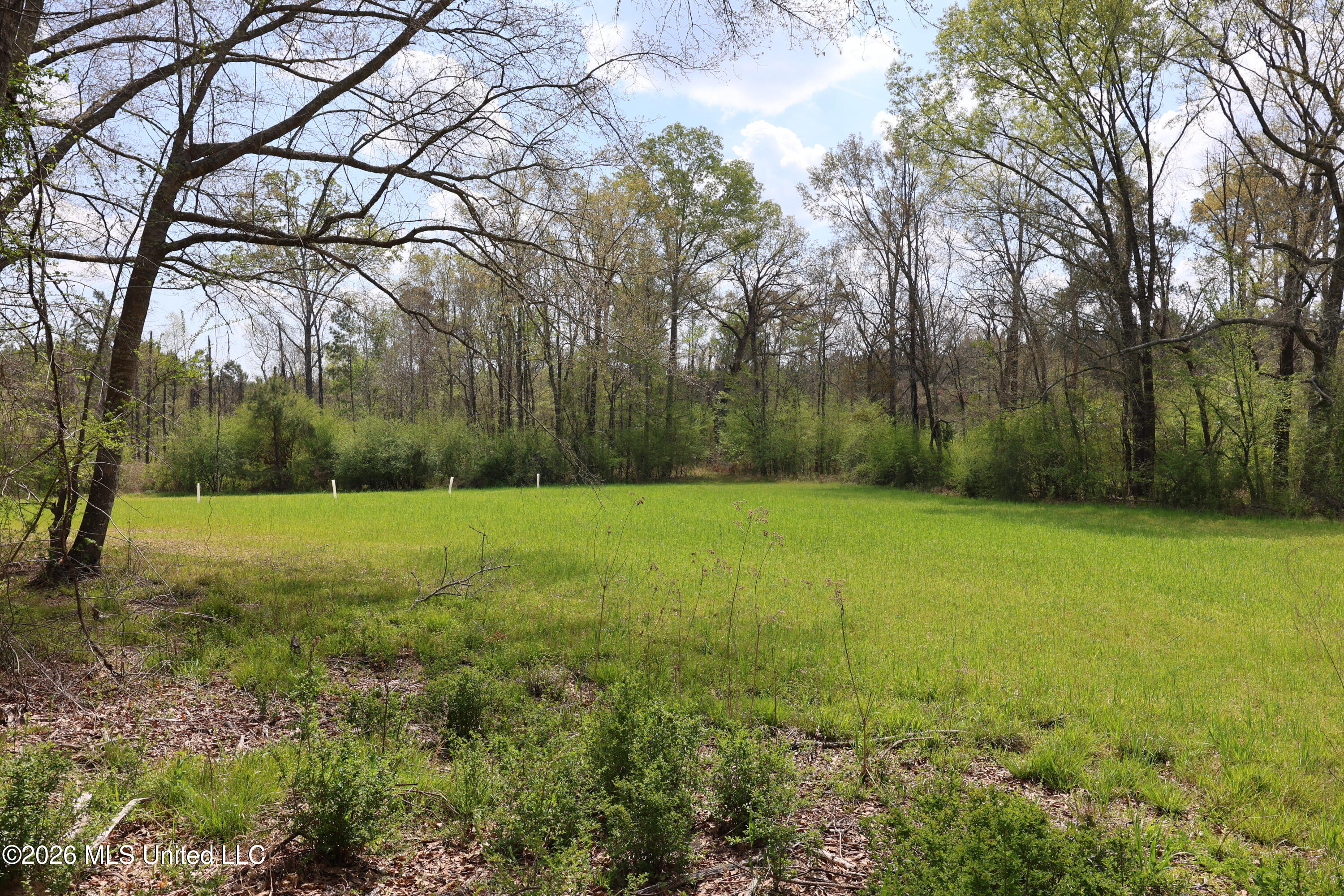 3194 James Road Hazlehurst, MS 39083 - Photo 25 of 114 0C464B59-545A-40FF-851D-01D978968E92