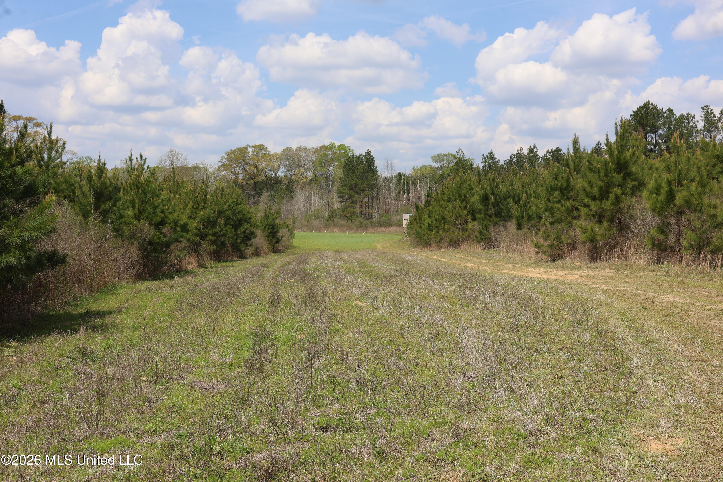 3194 James Road Hazlehurst, MS 39083 - Photo 26 of 114 1D3B2F74-C96F-45E1-98D5-834FFE77E417