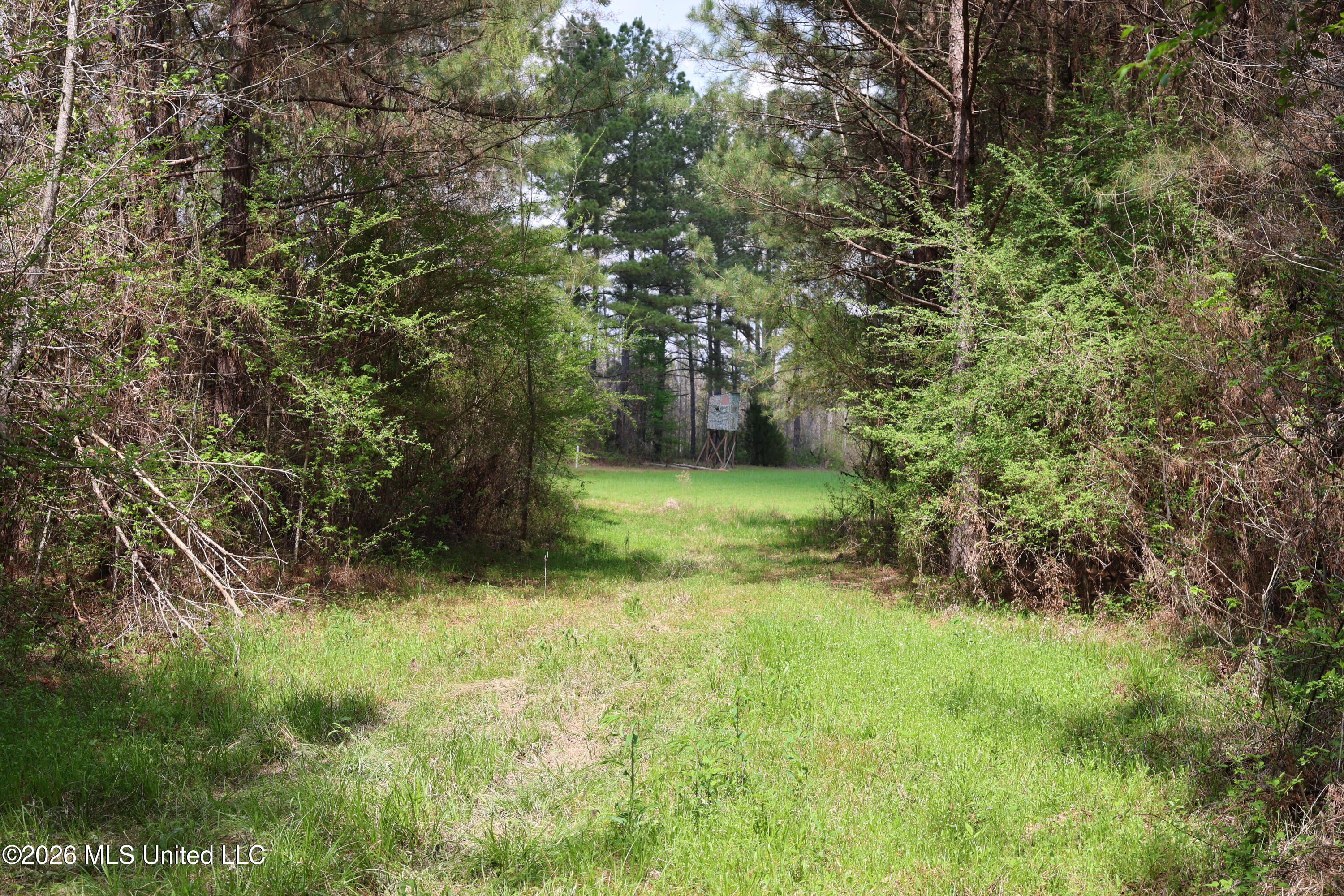 3194 James Road Hazlehurst, MS 39083 - Photo 27 of 114 1EB8A590-2ED7-4781-A404-373A104F25BB
