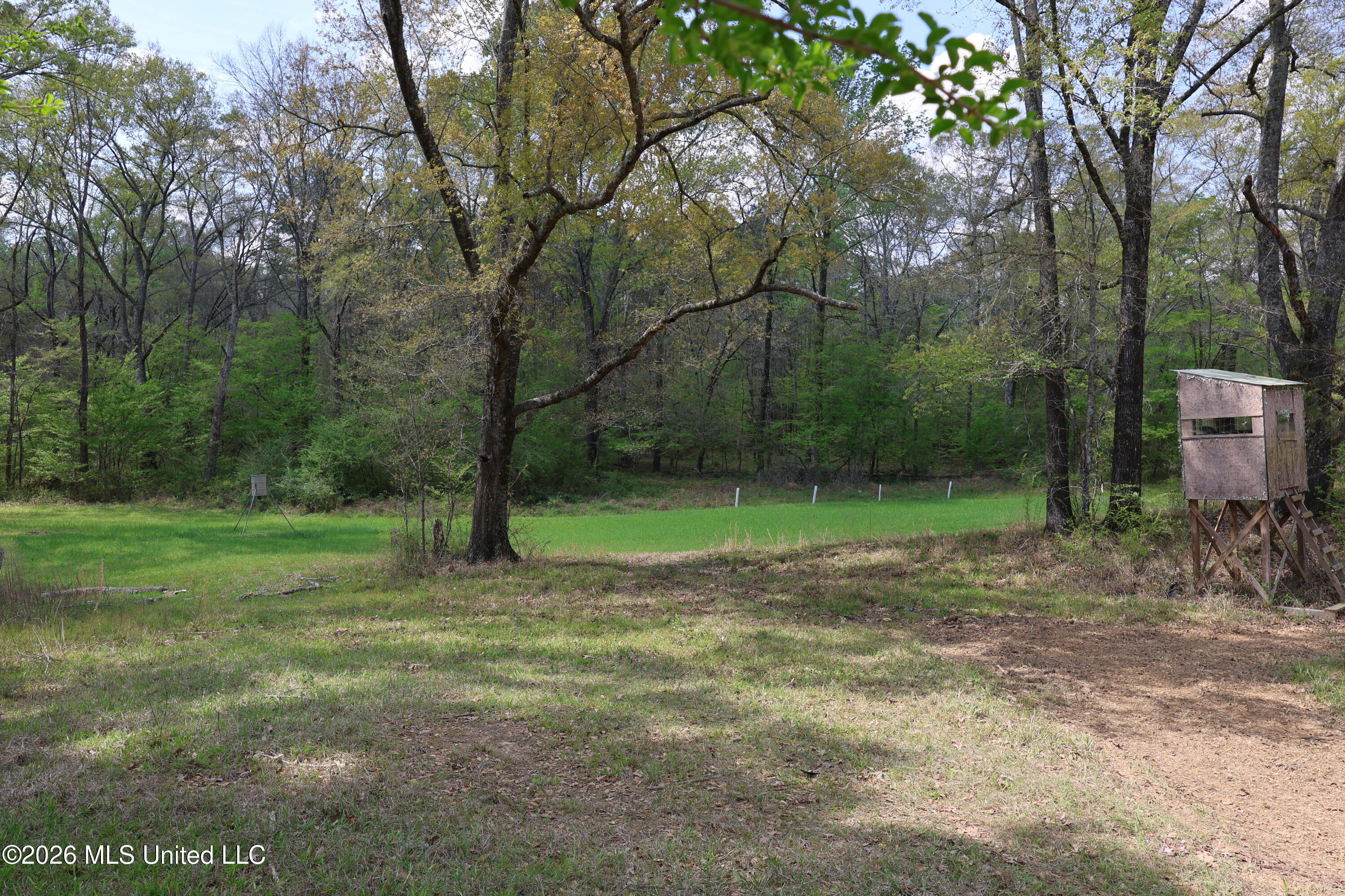 3194 James Road Hazlehurst, MS 39083 - Photo 28 of 114 1FAE3B62-FC9A-4E56-A902-A4DE85F08AA6