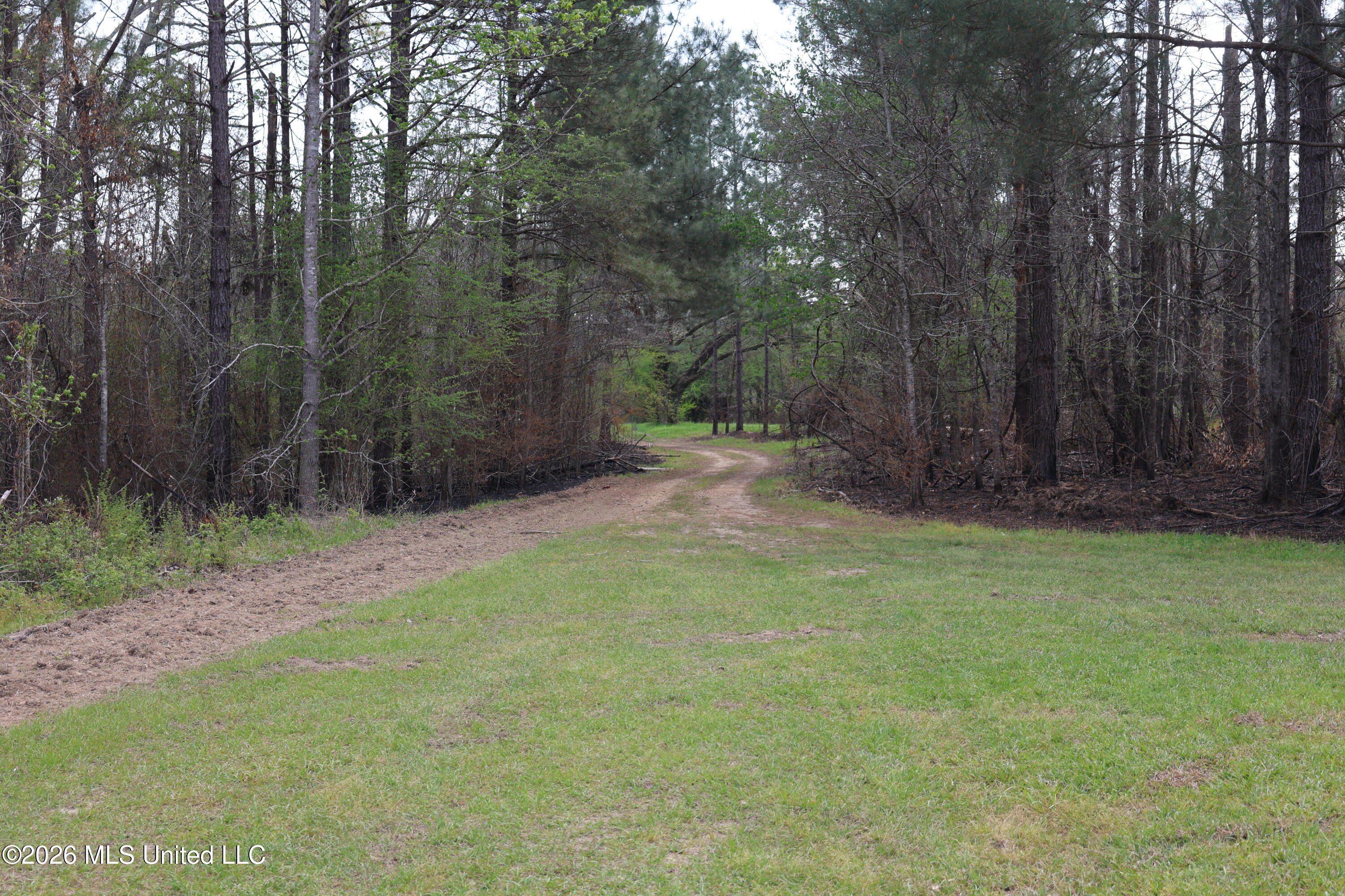 3194 James Road Hazlehurst, MS 39083 - Photo 30 of 114 2DF98797-94ED-4E7C-BCEE-56D48843073D