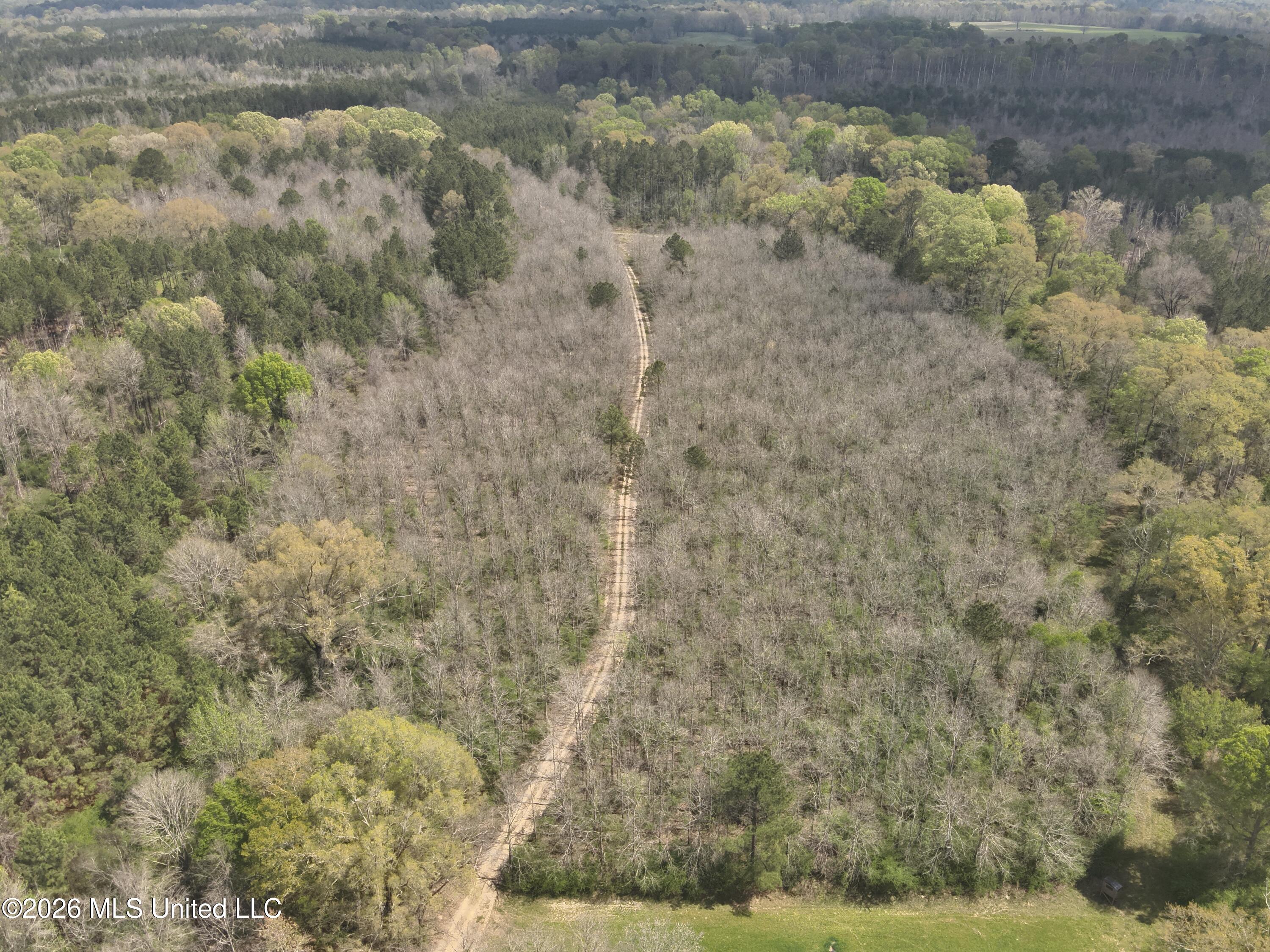 3194 James Road Hazlehurst, MS 39083 - Photo 3 of 114 DJI_20260325131135_0009_V