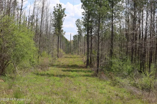 $1,848,000 | 3194 James Road, Hazlehurst, MS 39083