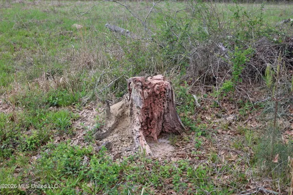 $1,848,000 | 3194 James Road, Hazlehurst, MS 39083